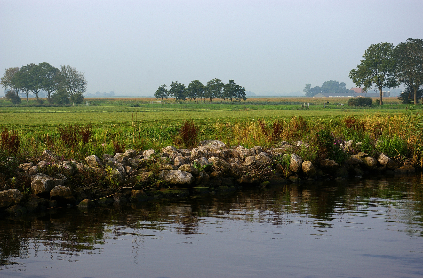 Fries landschap