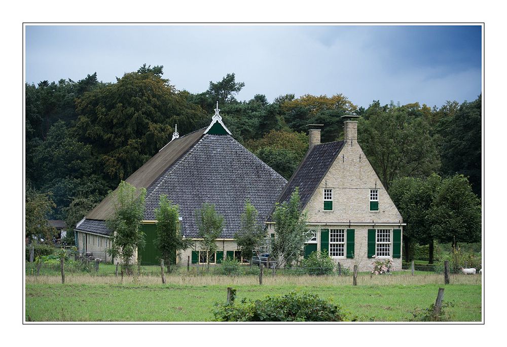 Friese boerderij.