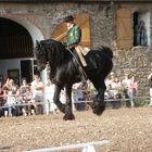 Friesenfest im Memleben