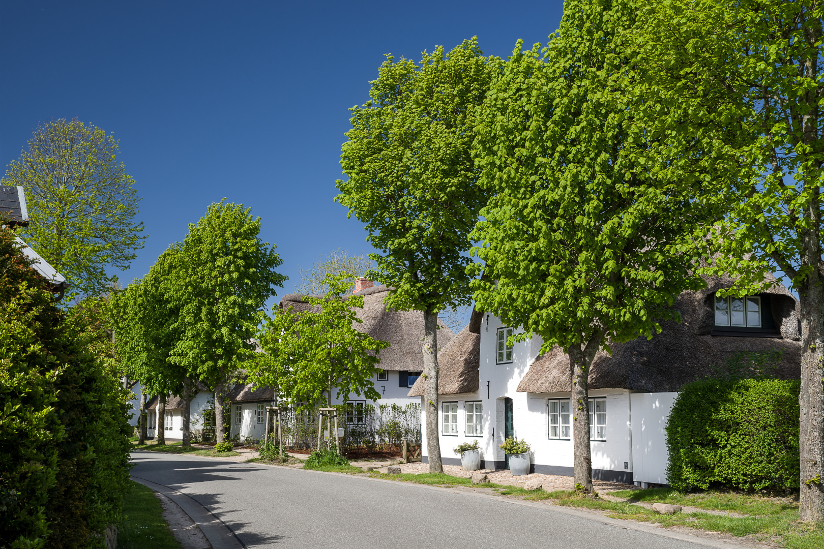 Friesenhäuser auf Föhr