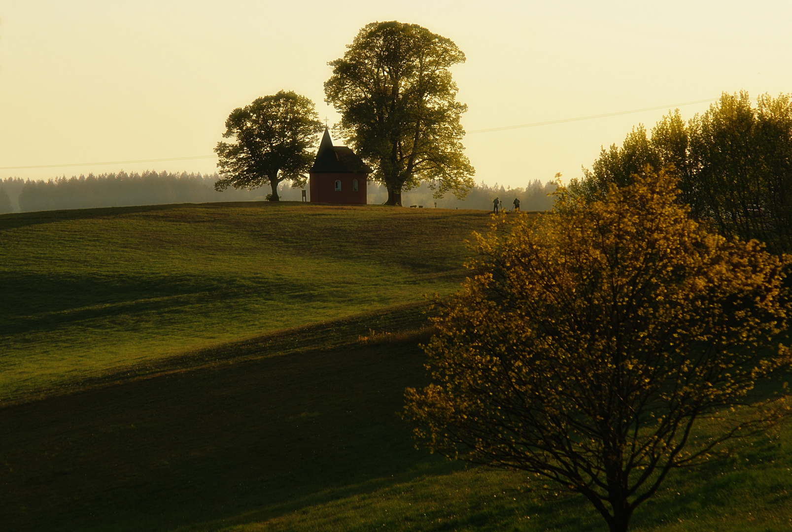 Friesenhagen