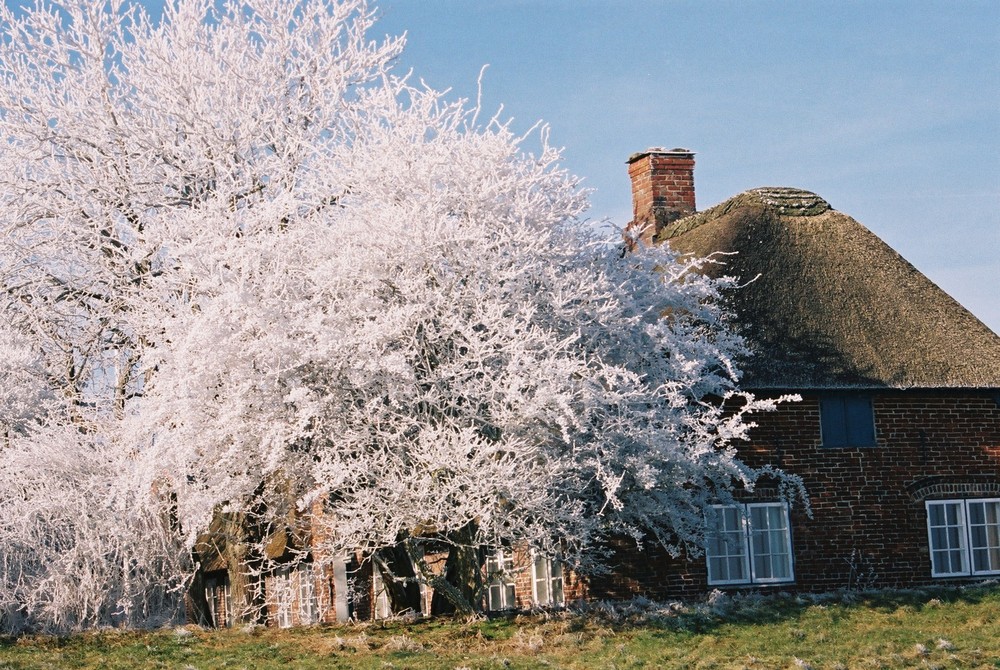 Friesenhaus