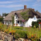 Friesenhaus auf Amrum