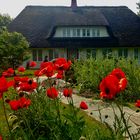 Friesenhaus auf Föhr