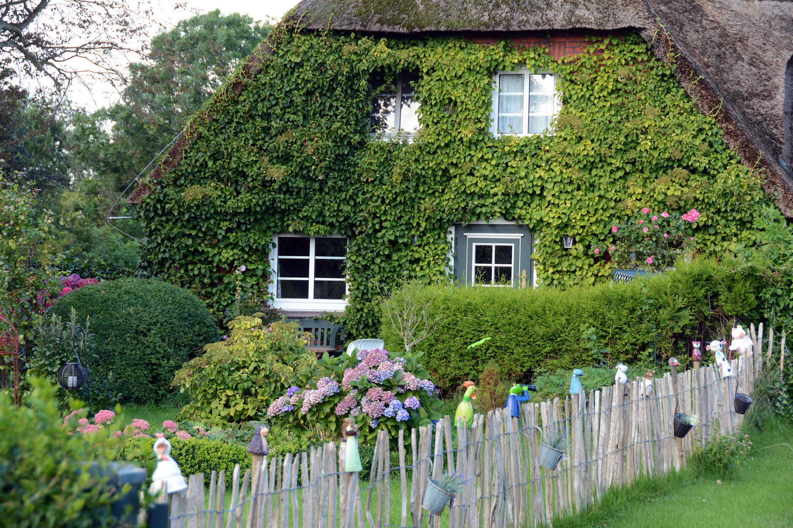 Friesenhaus auf Föhr Sept. 15