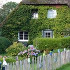 Friesenhaus auf Föhr Sept. 15