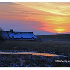 Friesenhaus bei Sonnenuntergang