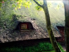 Friesenhaus - Museum Wyk auf Föhr