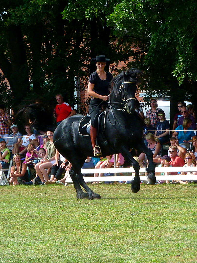 Friesenstall Marschhorst