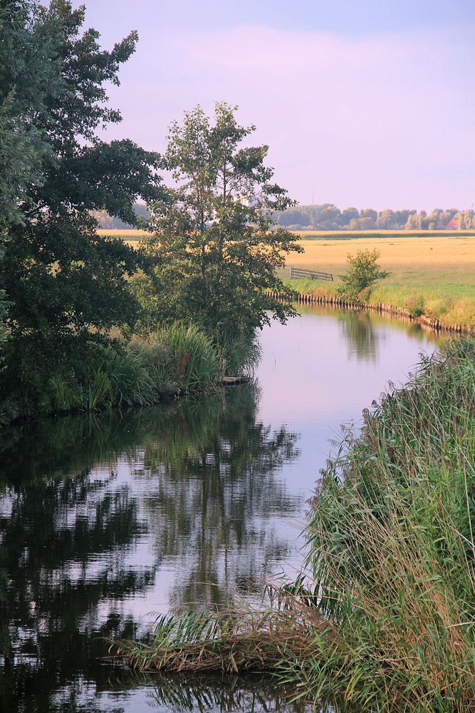 Friesisch gespiegelt 