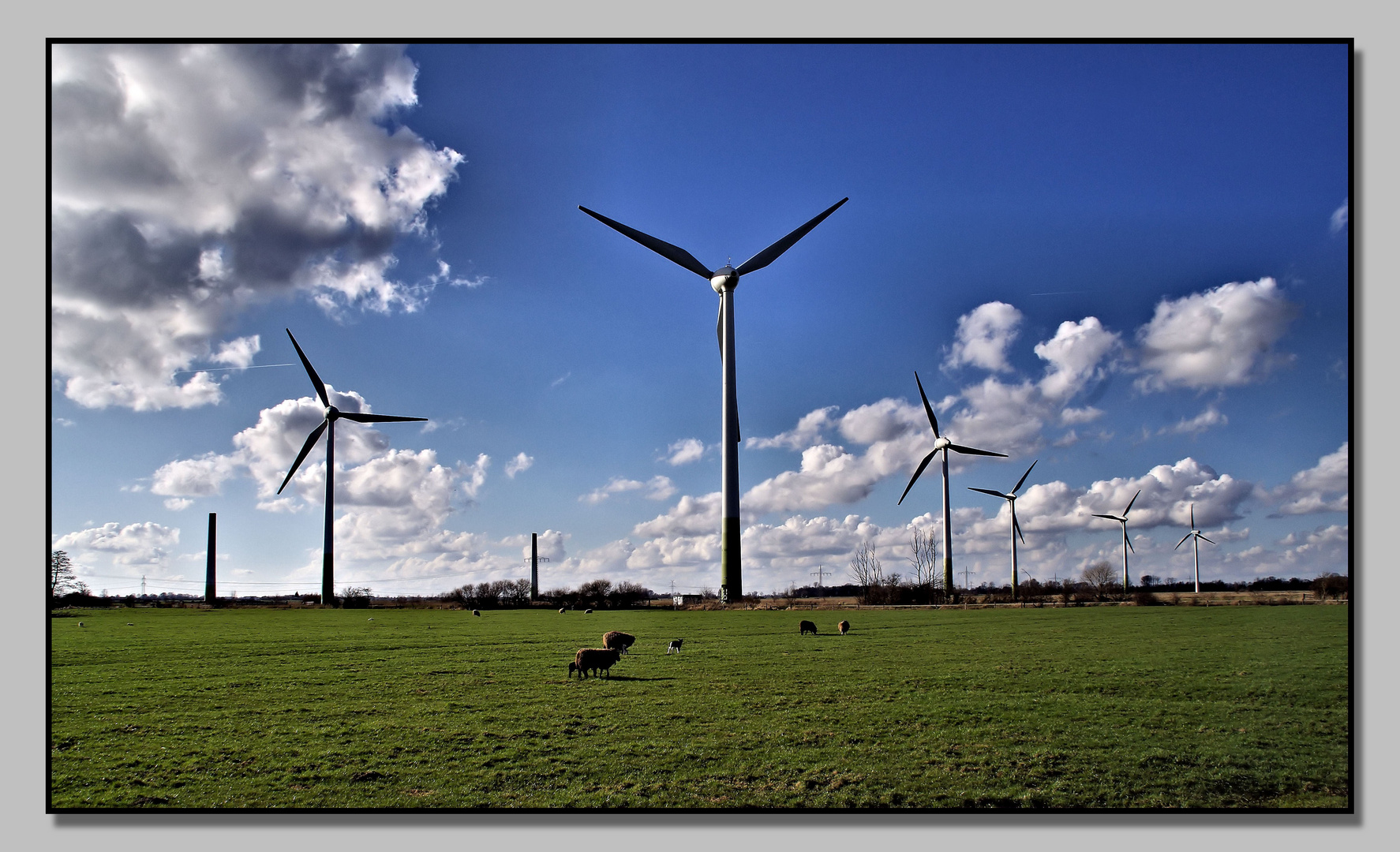 Friesische Landschaft