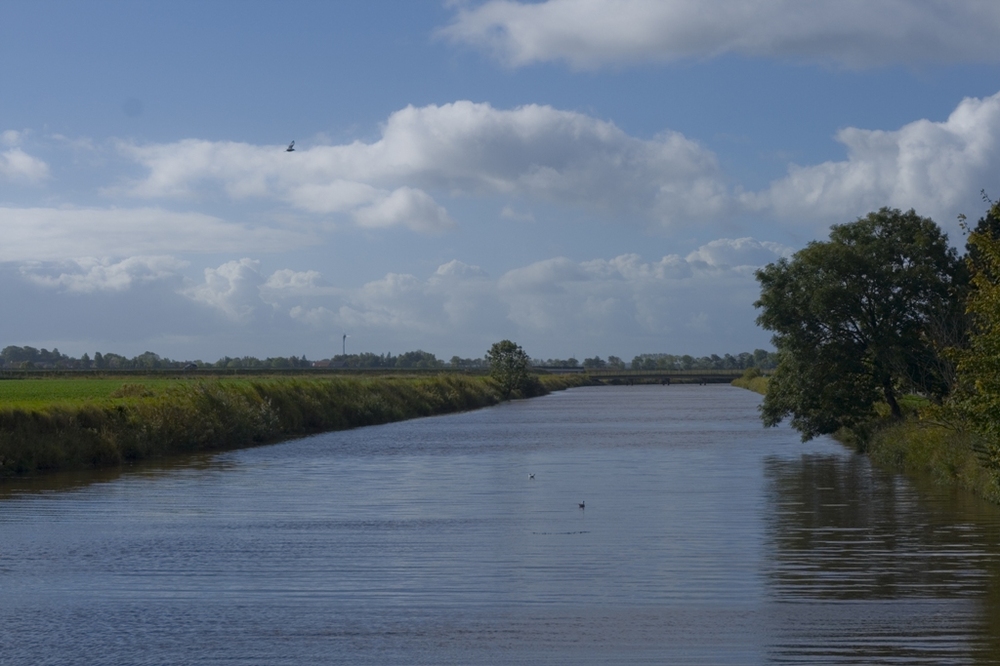 Friesische Landschaft