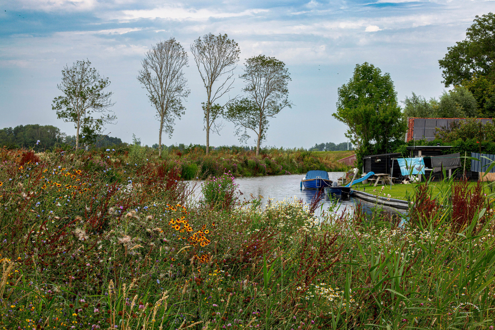 Friesische Landschaft / Frisian landscape