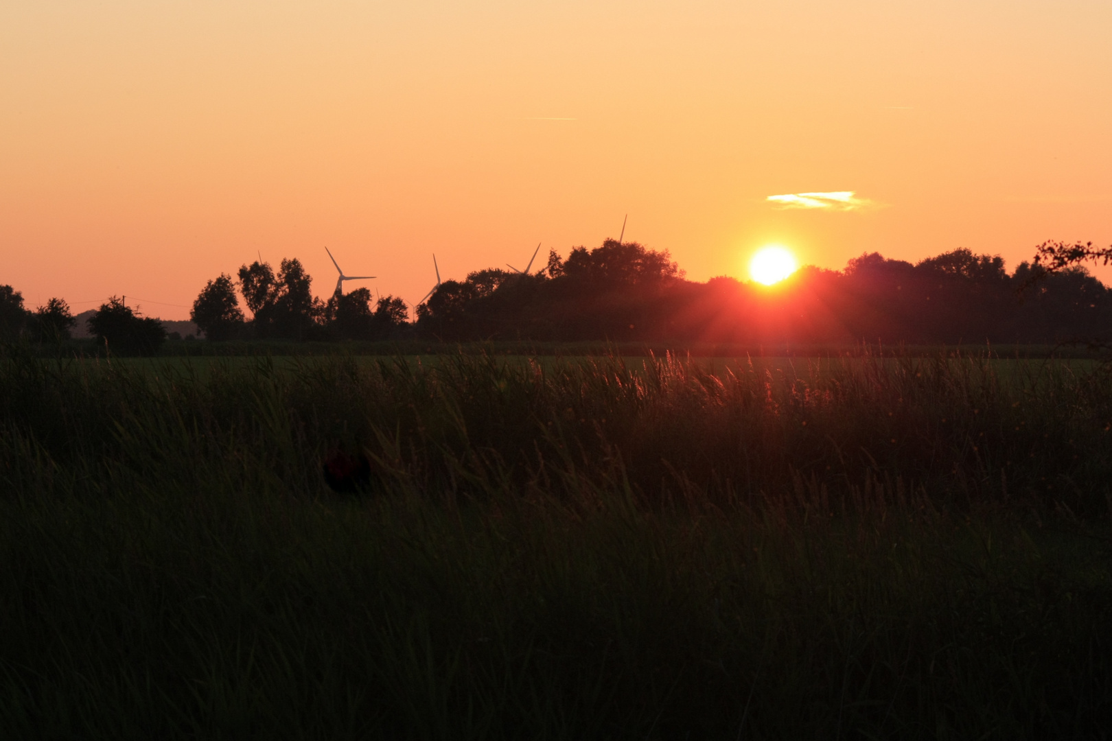 Friesischer Sonnenuntergang