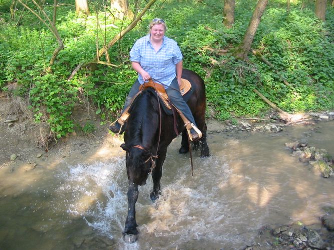 Friesisches Flußpferd ;)