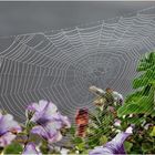 friesisches Herbst - Arrangement