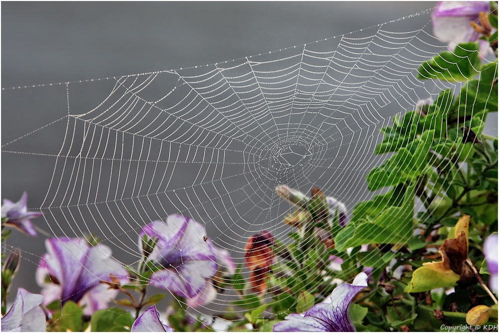 friesisches Herbst - Arrangement