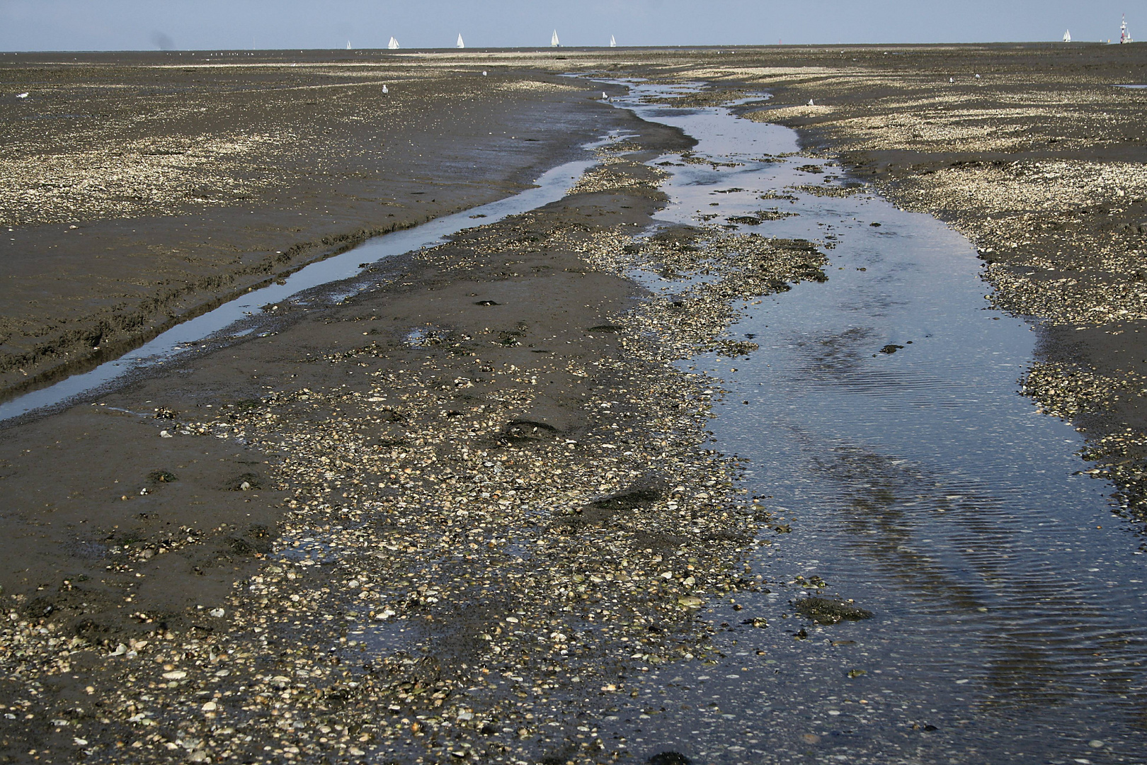 Friesisches Wattenmeer am Spätnachmittag