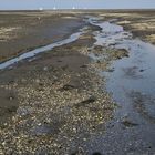 Friesisches Wattenmeer am Spätnachmittag