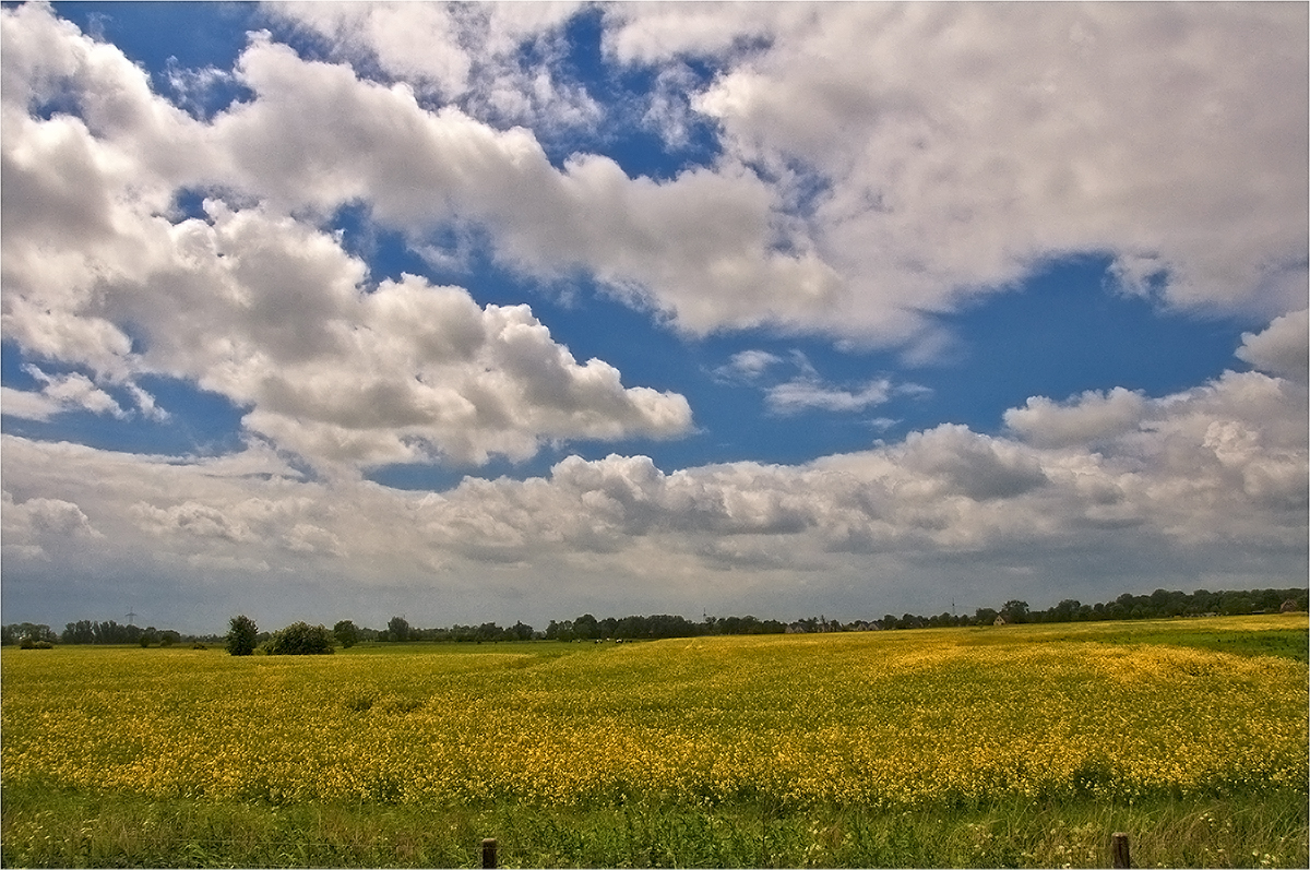 Friesland