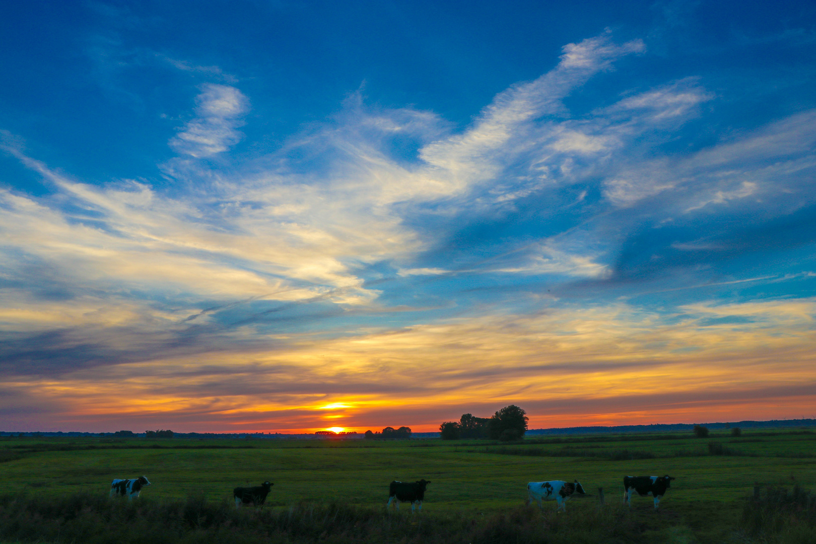 Friesland