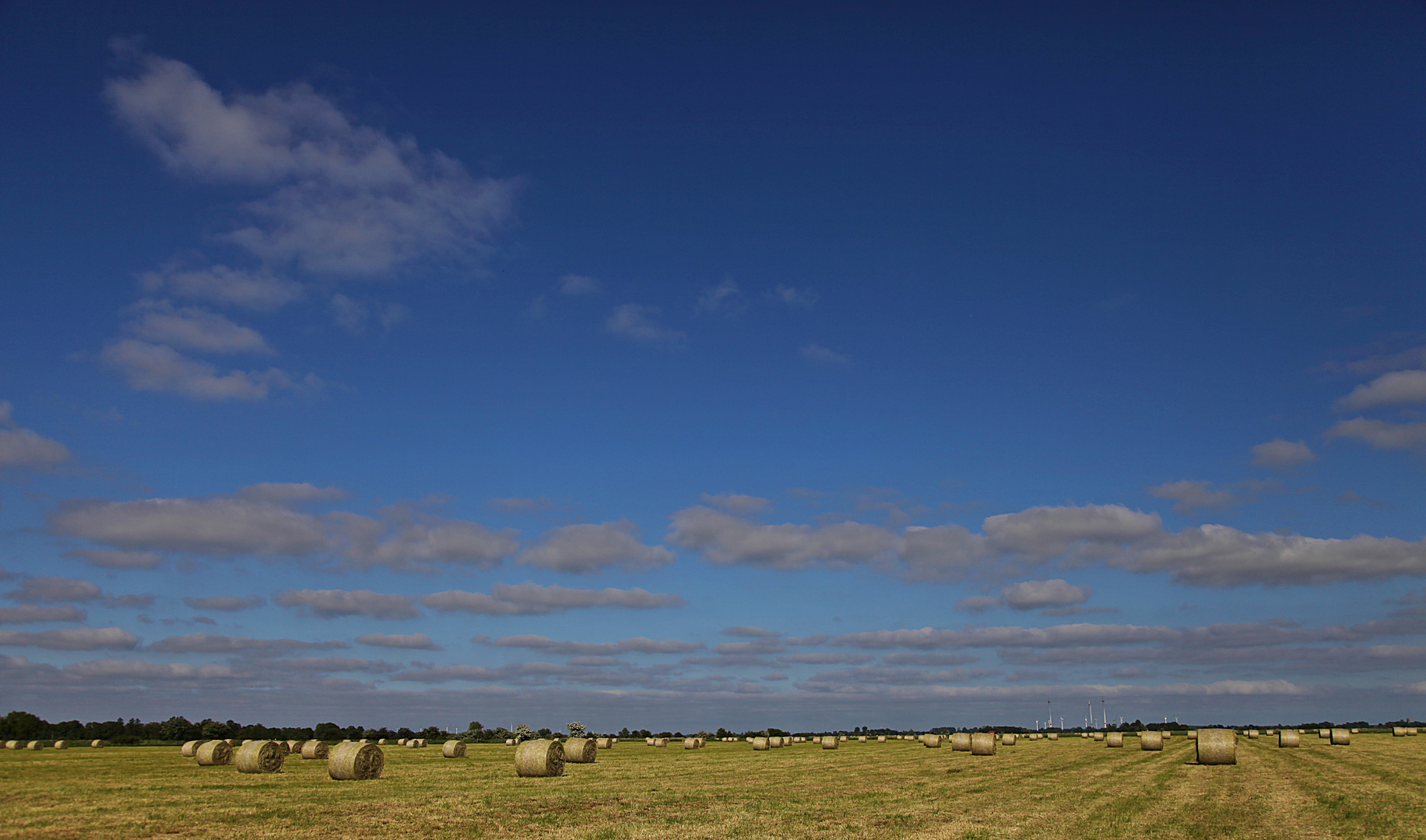 ***Friesland***