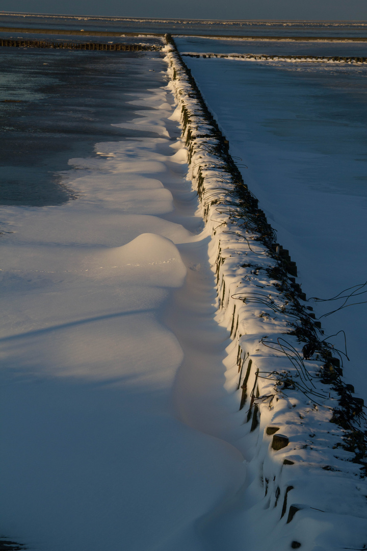 Friesland