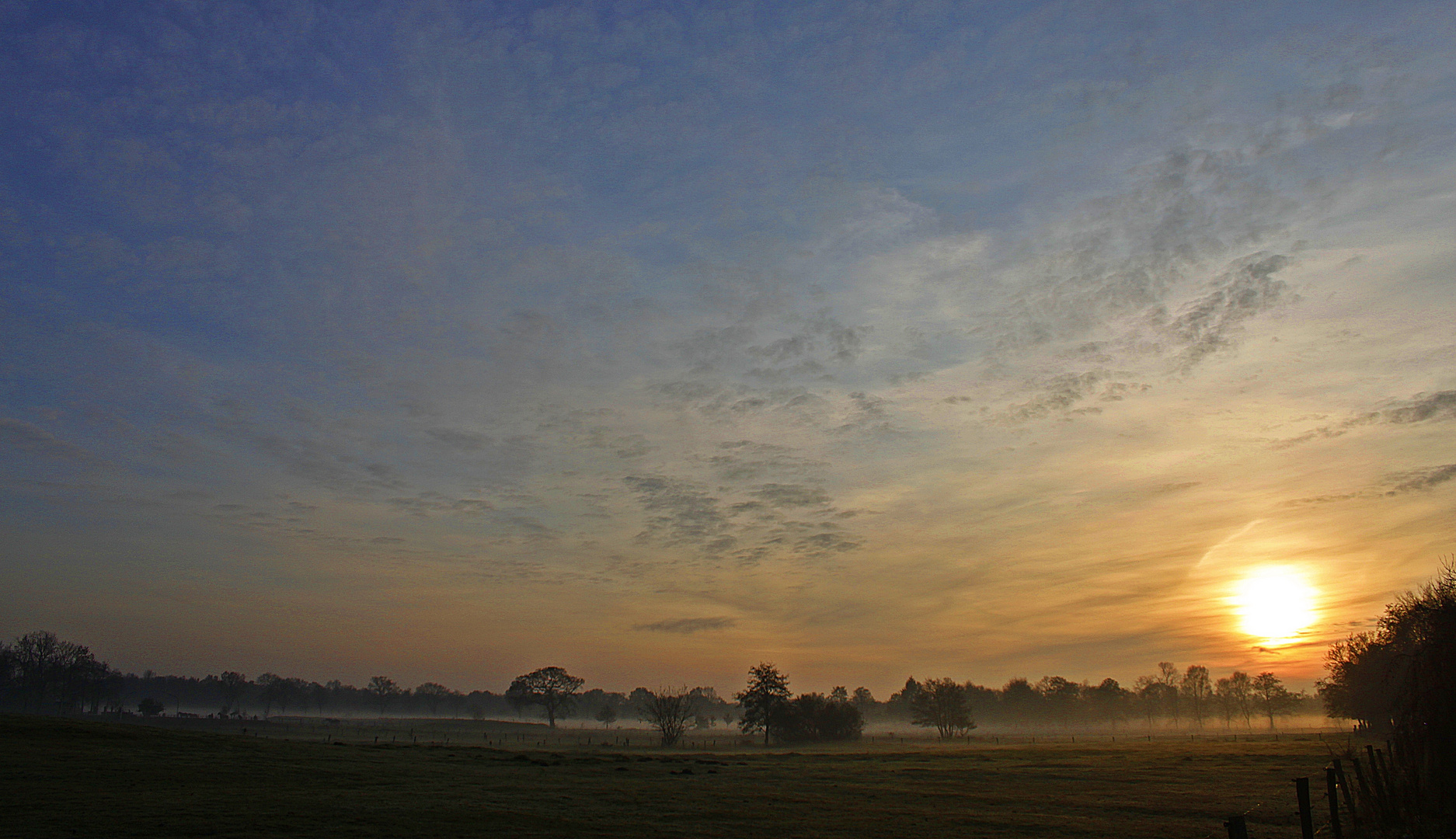 ***Friesland***