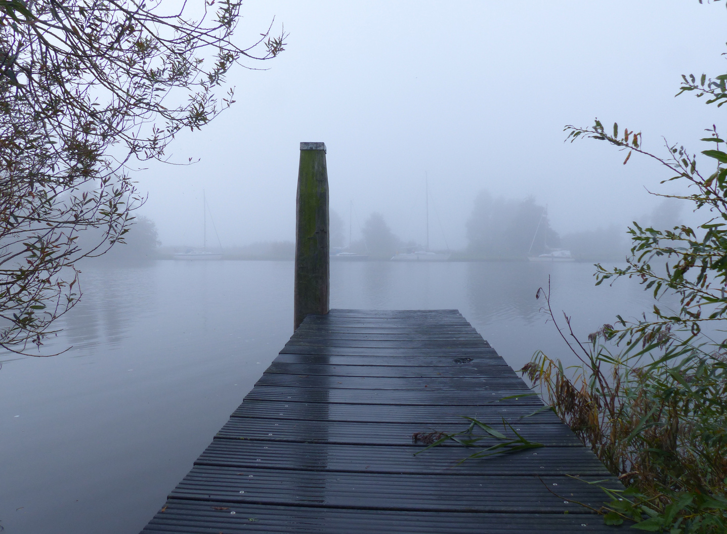 Friesland im Nebel