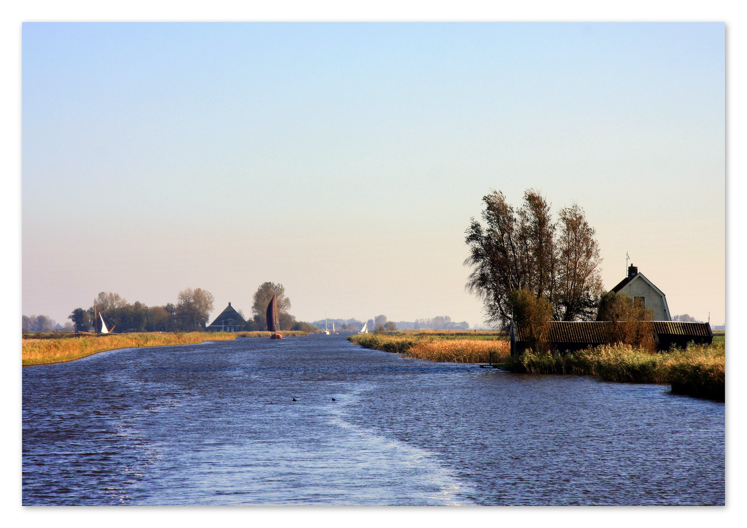 Friesland - noch flacher als am Niederrhein