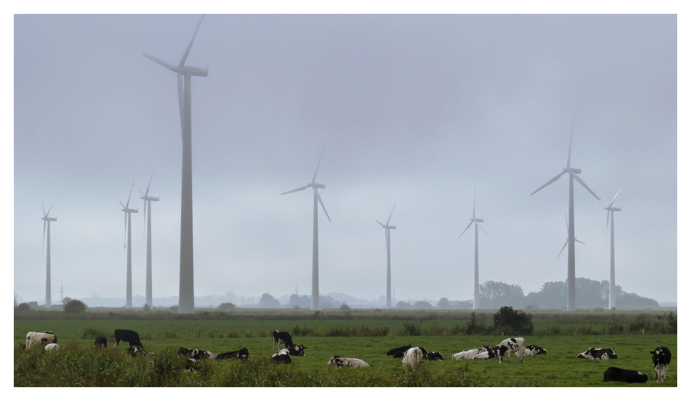 Friesland - Tradition und Fortschritt