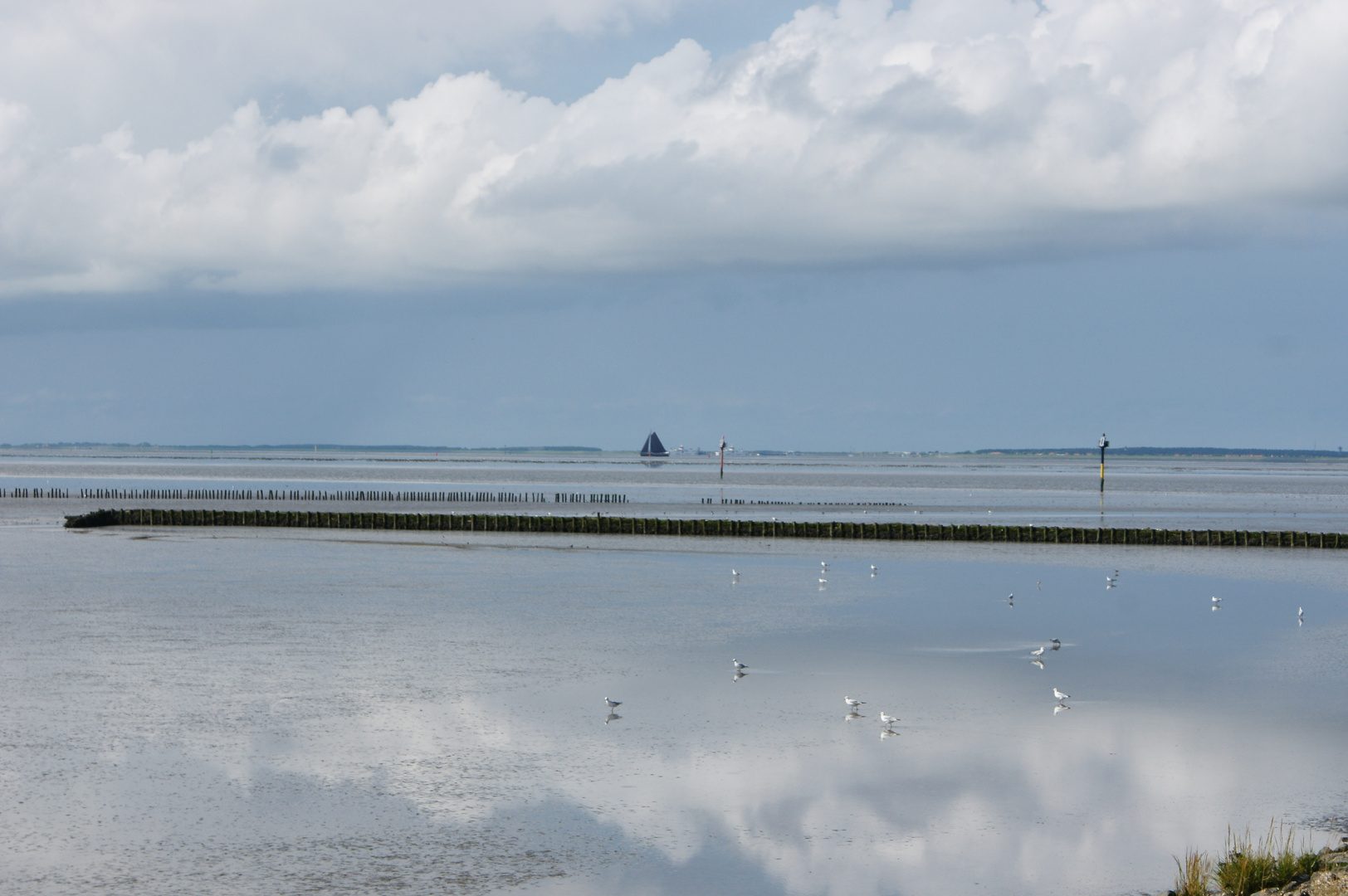 Friesland's mirror