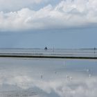 Friesland's mirror