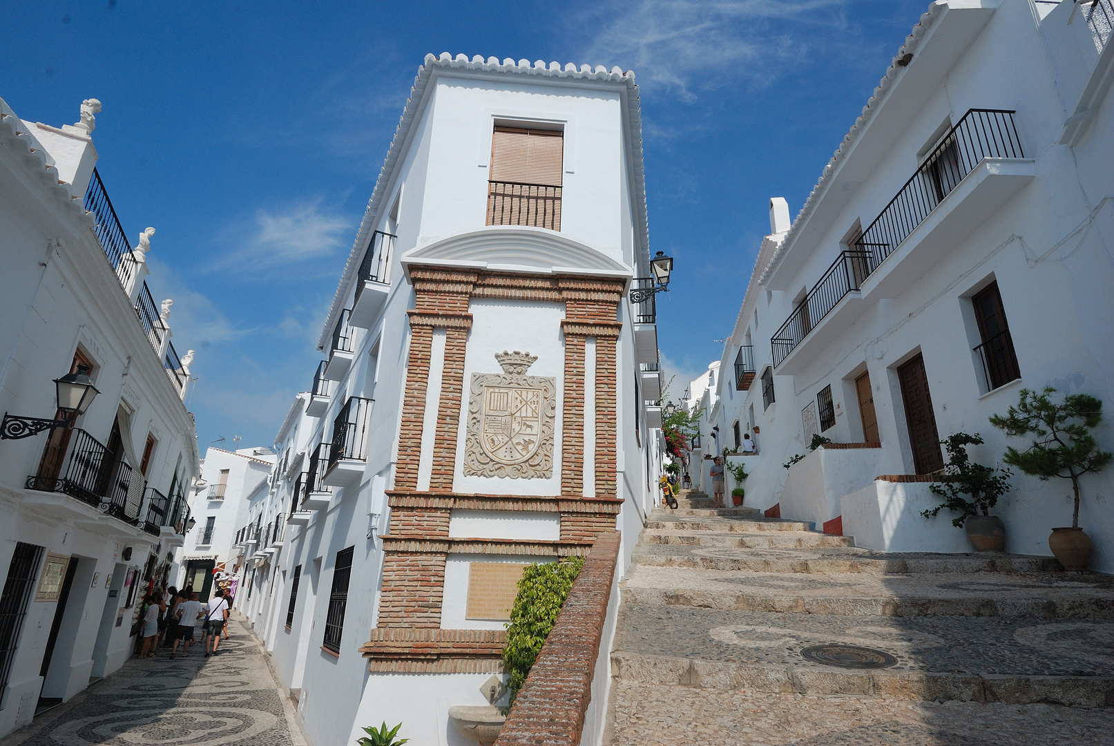 FRIGILIANA 1