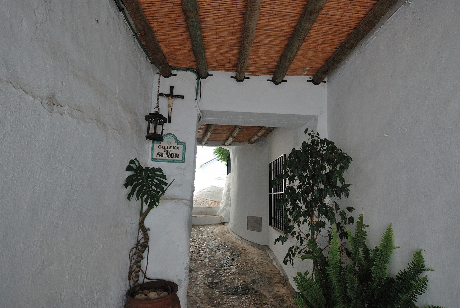 FRIGILIANA 3