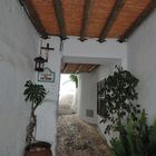 FRIGILIANA 3