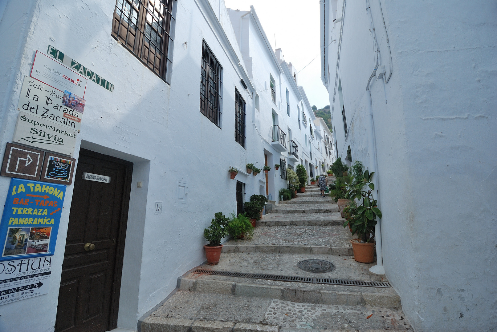 FRIGILIANA 4