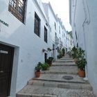 FRIGILIANA 4