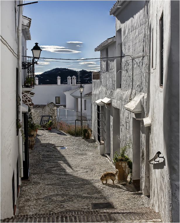 Frigiliana 5