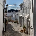 Frigiliana 5