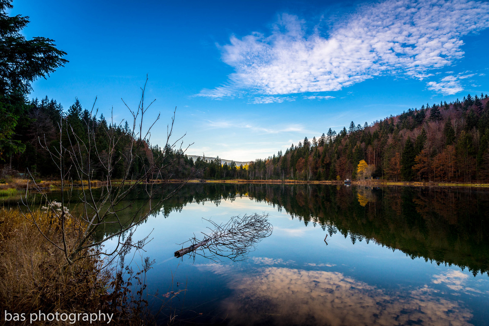 Frillensee