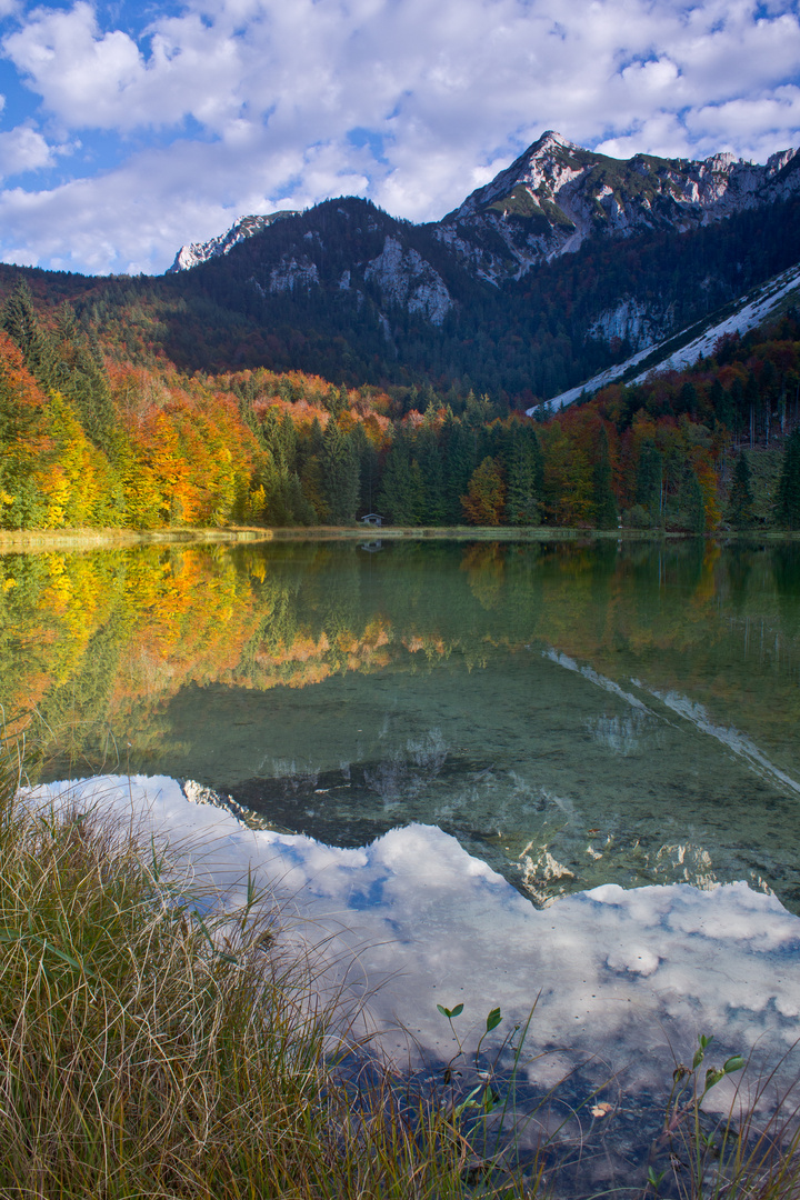 Frillensee