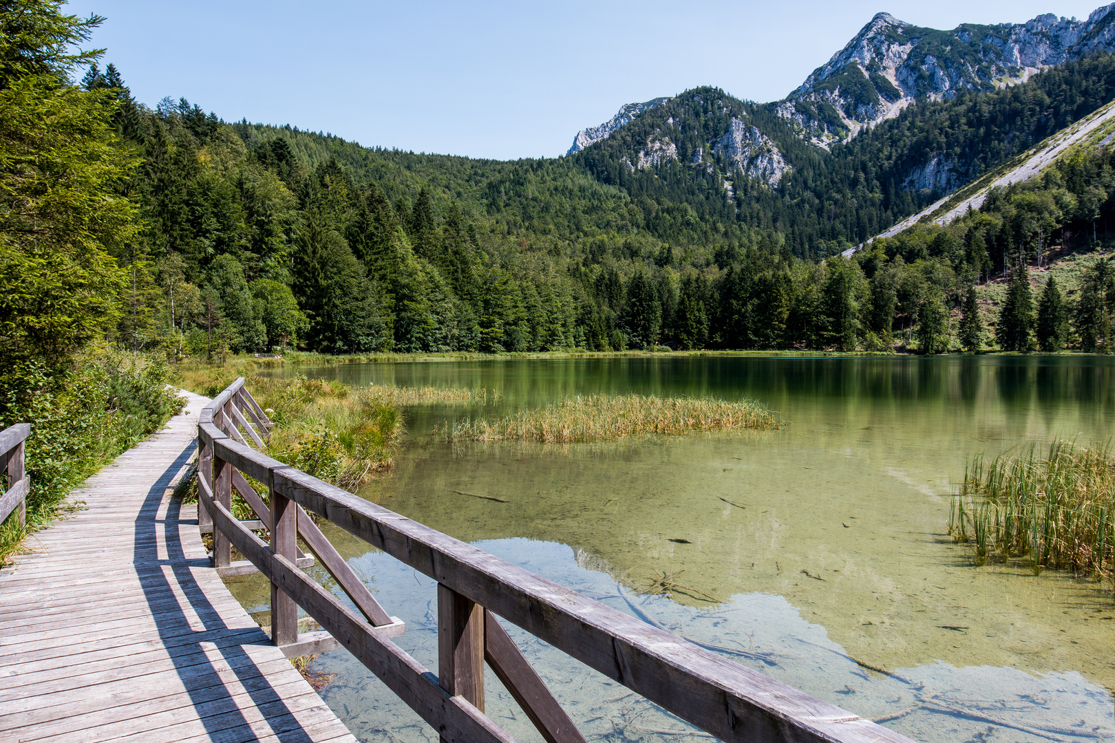 Frillensee