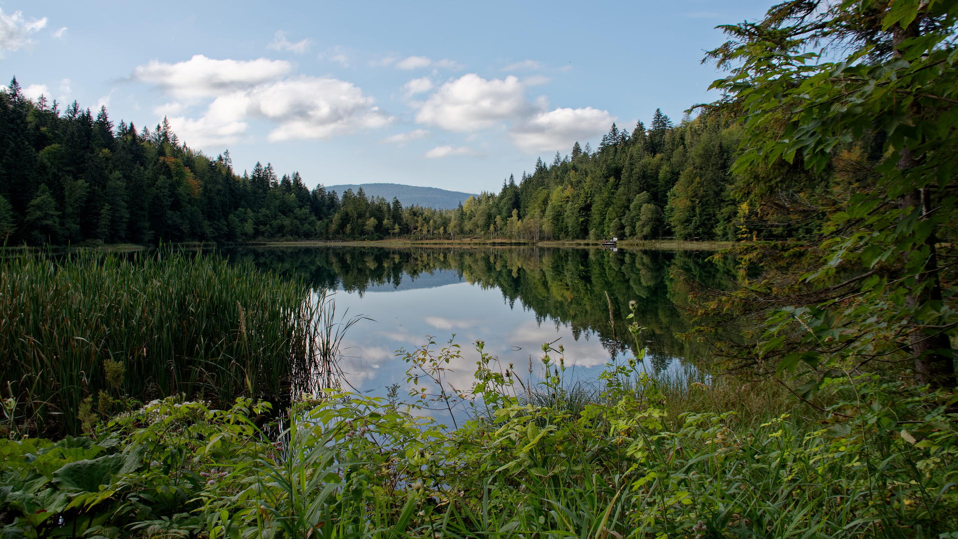 Frillensee bei Inzell