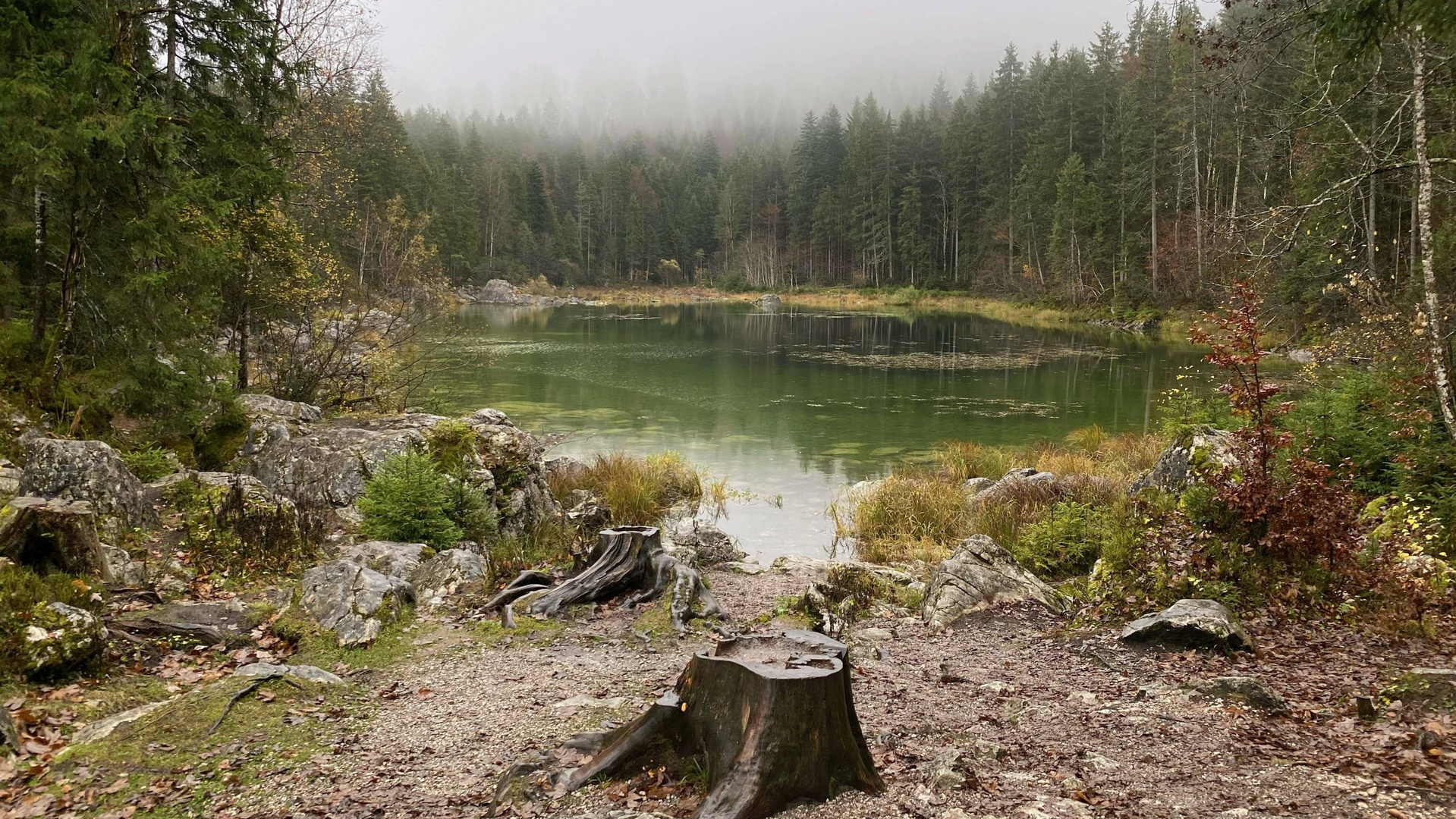 Frillensee im Nebel