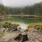 Frillensee im Nebel