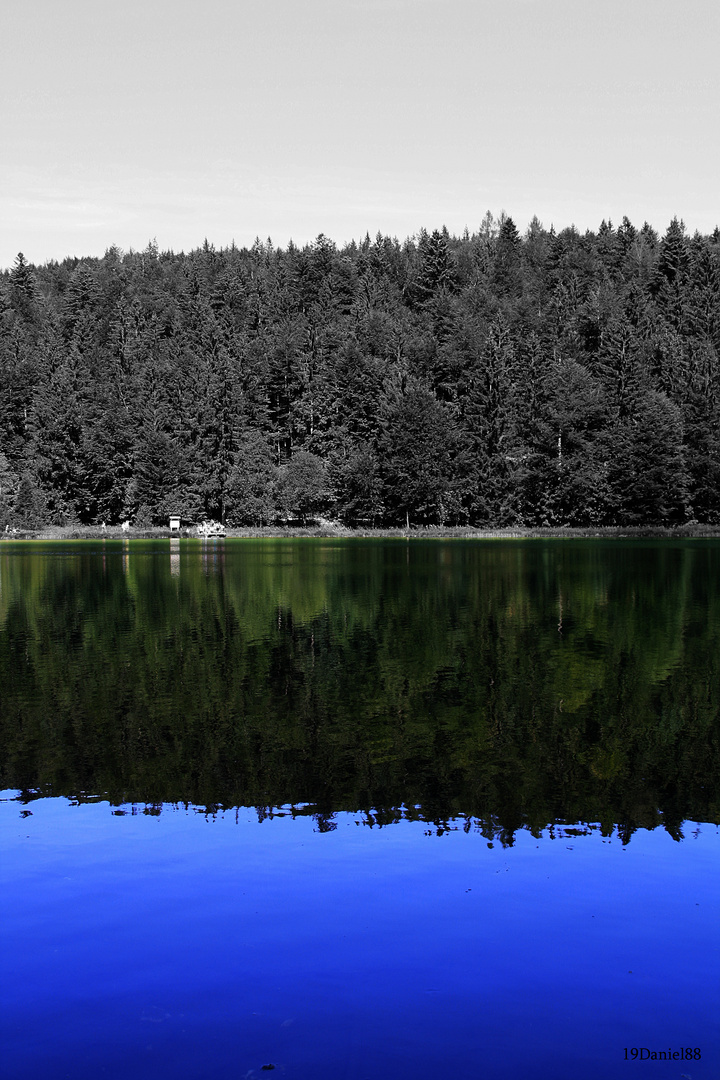 Frillensee Inzell