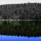 Frillensee Inzell