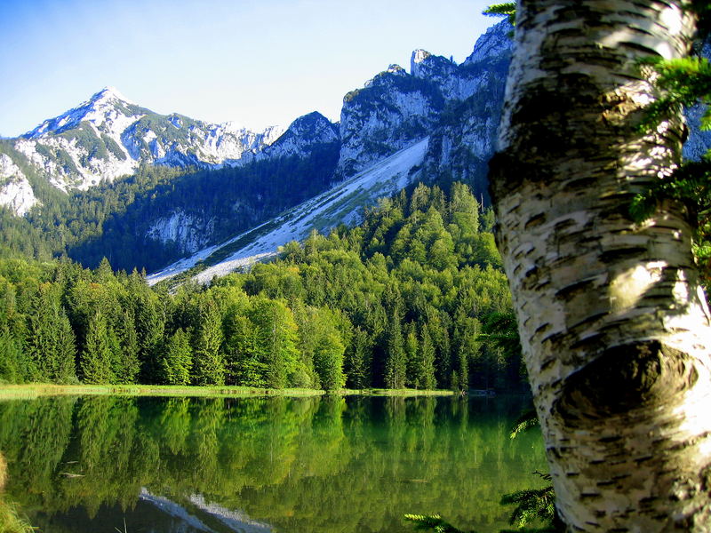 Frillensee :.: Mountain Lake at Inzell