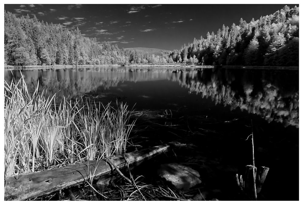 Frillensee_IR